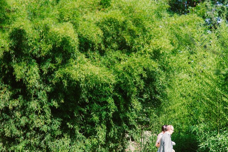 mas_petit_milord_mariage-4