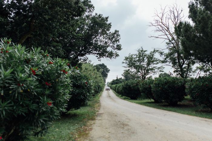 mariage_mas_de_peint-3