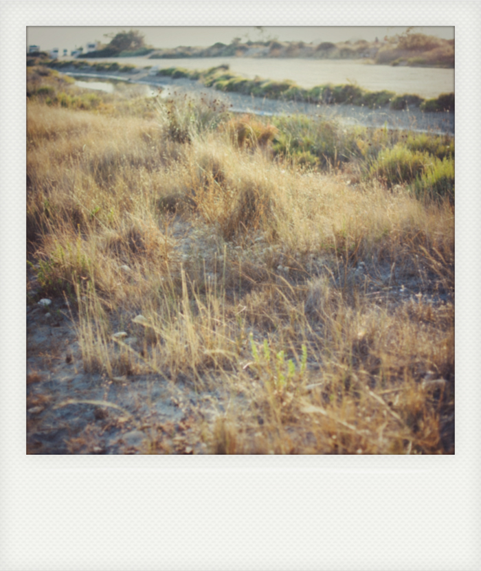 photo_couple_plage-44