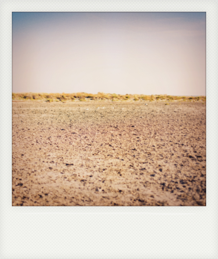 photo_couple_plage-58