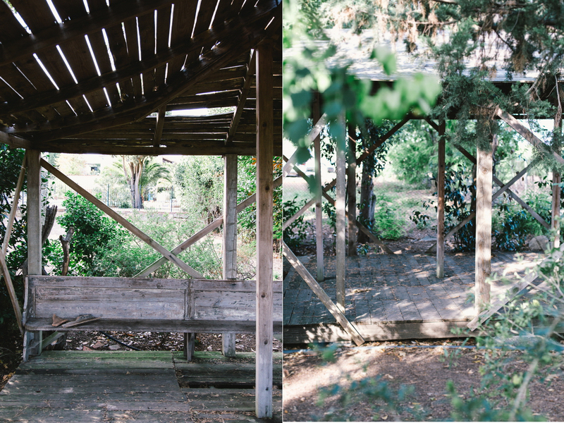 provence-vineyard-wedding-149