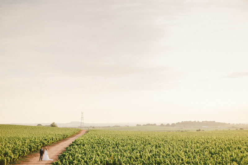 provence-vineyard-wedding-164