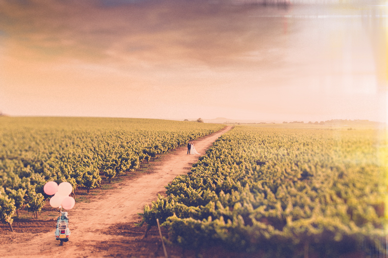 provence-vineyard-wedding-174