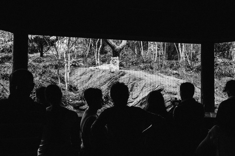 new_york_wedding_photographer-11