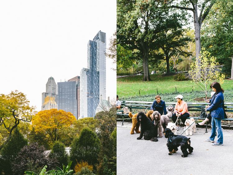 new_york_wedding_photographer-9