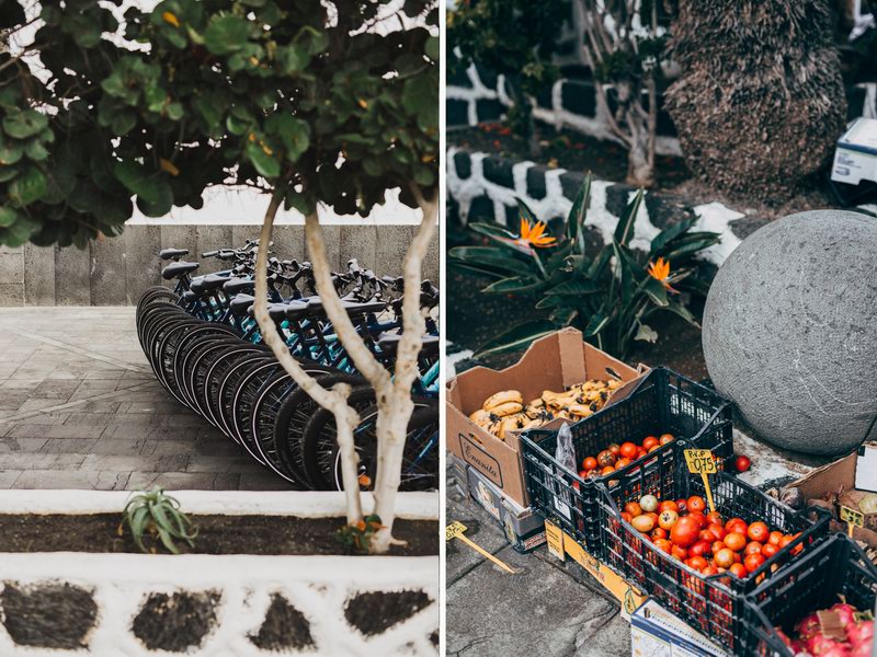 canary_island_elopement10