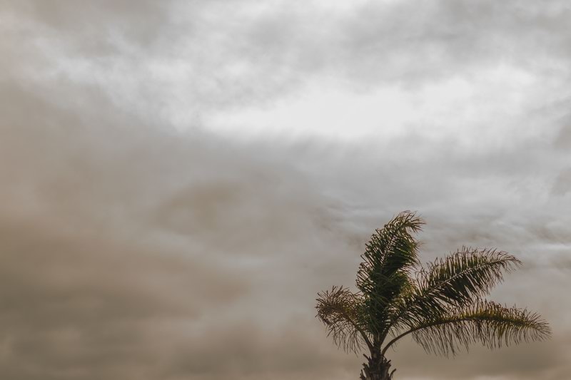 canary_island_elopement5