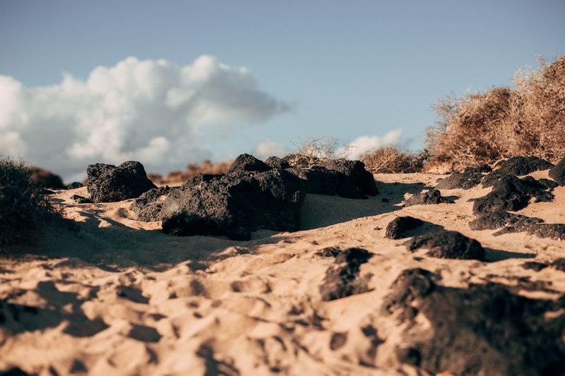 lanzarote_wedding_photographer-39