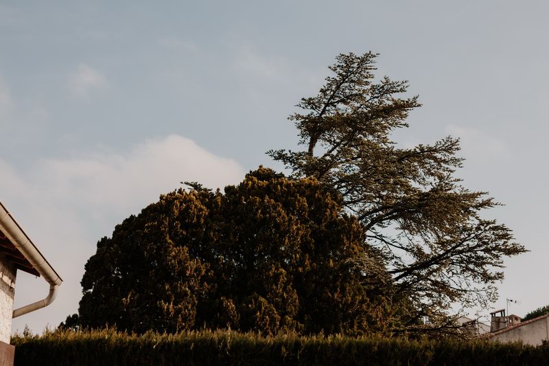 intimate_couple_shooting-1