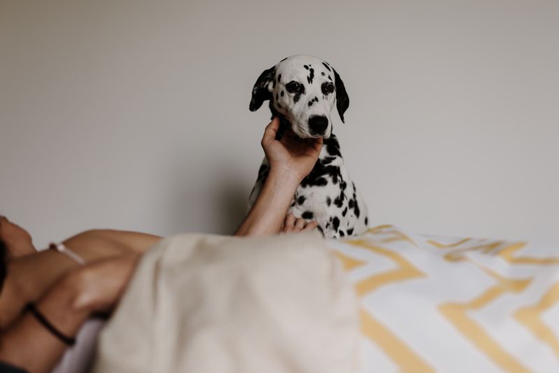 intimate_couple_shooting-22