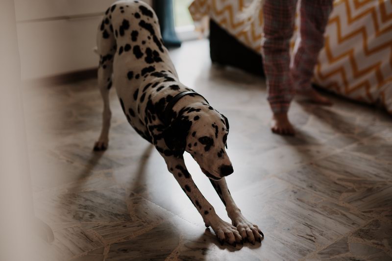 intimate_couple_shooting-28