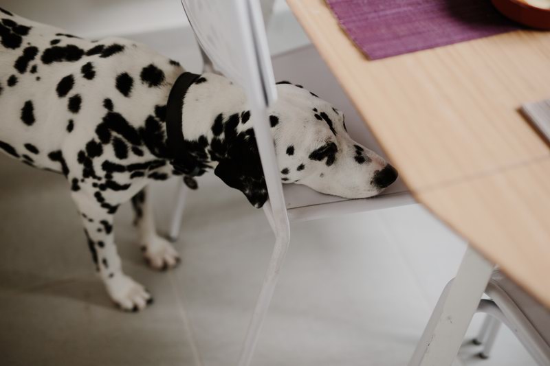 intimate_couple_shooting-33