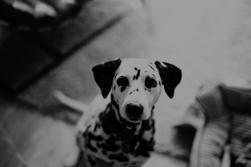 intimate_couple_shooting-4