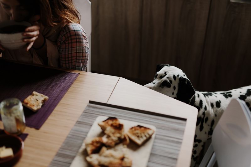 intimate_couple_shooting-42