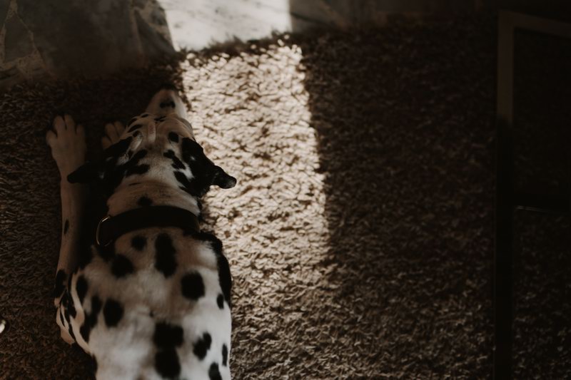 seance_couple_intime-10