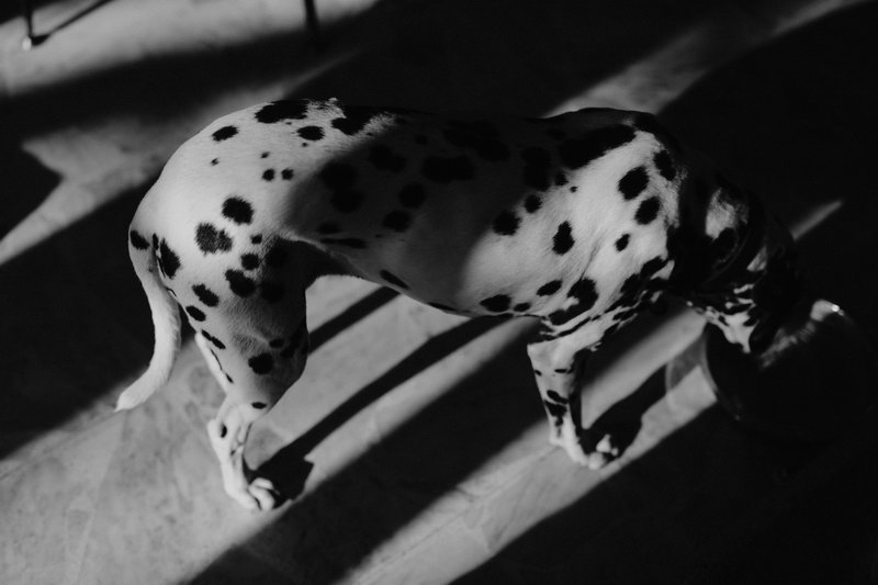 seance_couple_intime-6