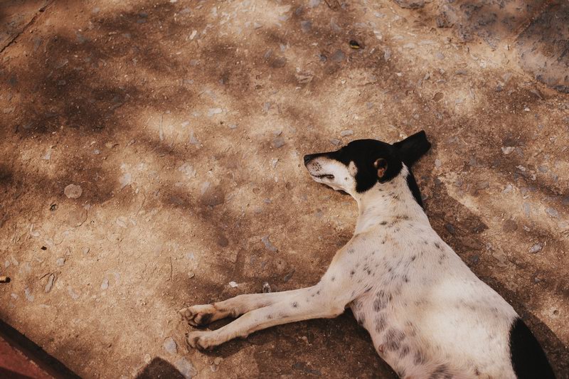 photographe_mariage_cuba-32