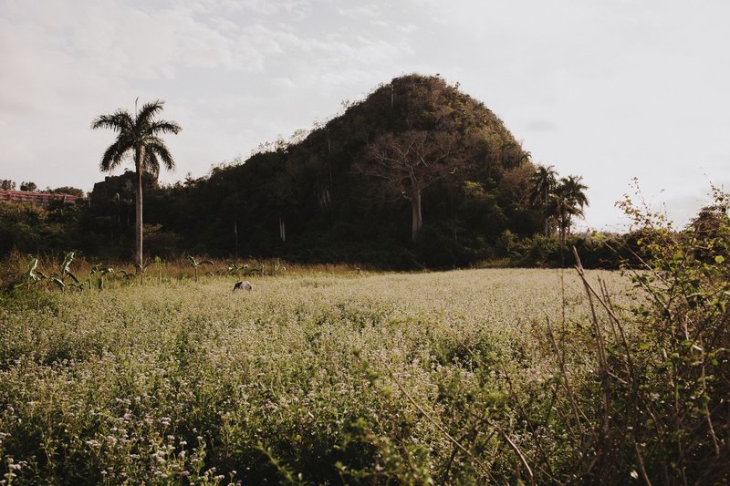 photographe_mariage_cuba-38