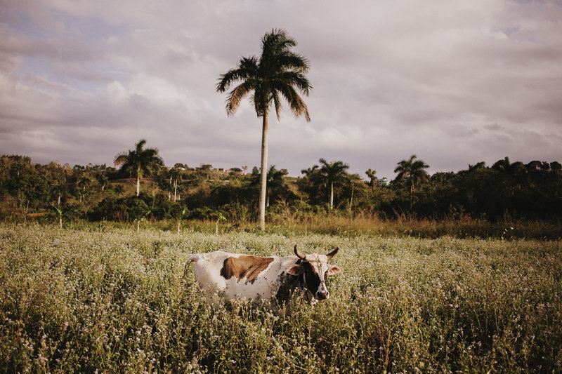 photographe_mariage_cuba-39