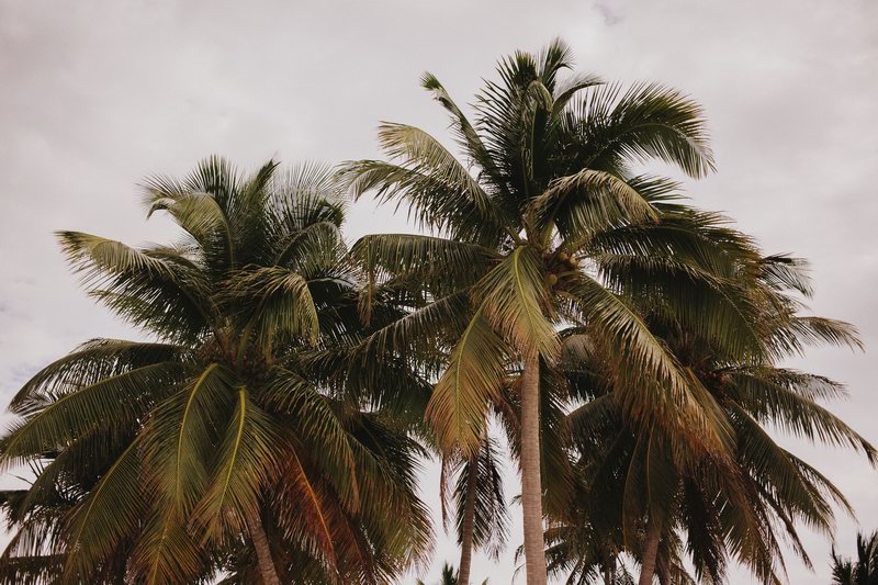 photographe_mariage_cuba-6